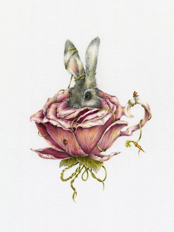 Courtney Brims Rabbit Rose Illustration