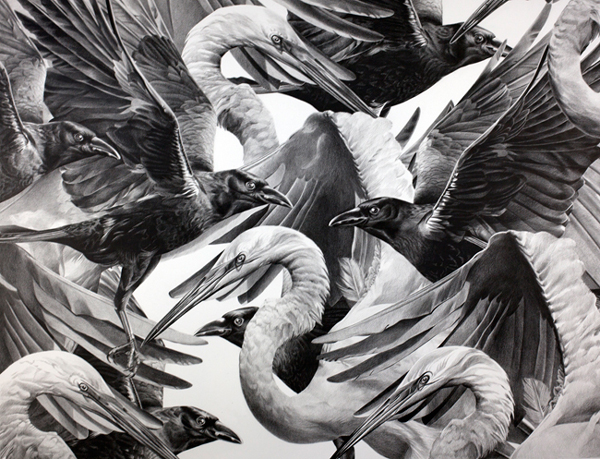 Christina Empedocles Crows and Cranes Drawing