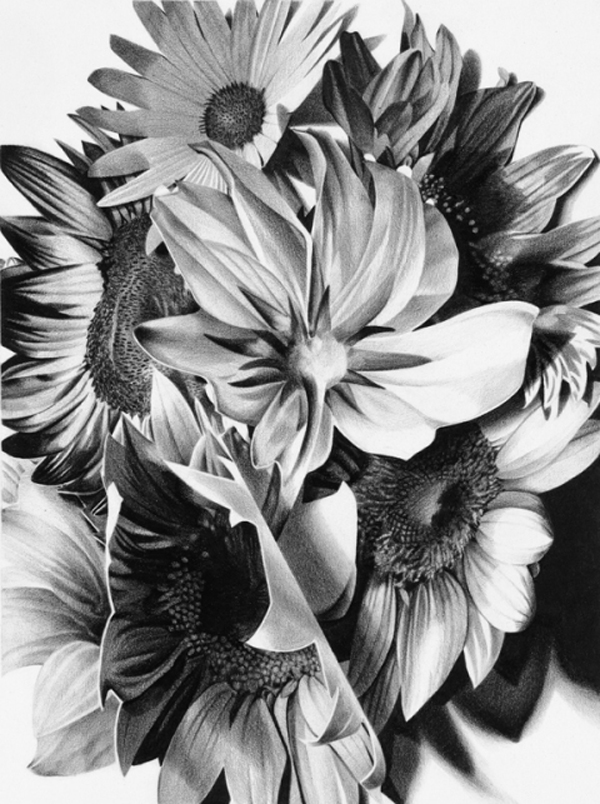 Christina Empedocles Sunflowers Drawing