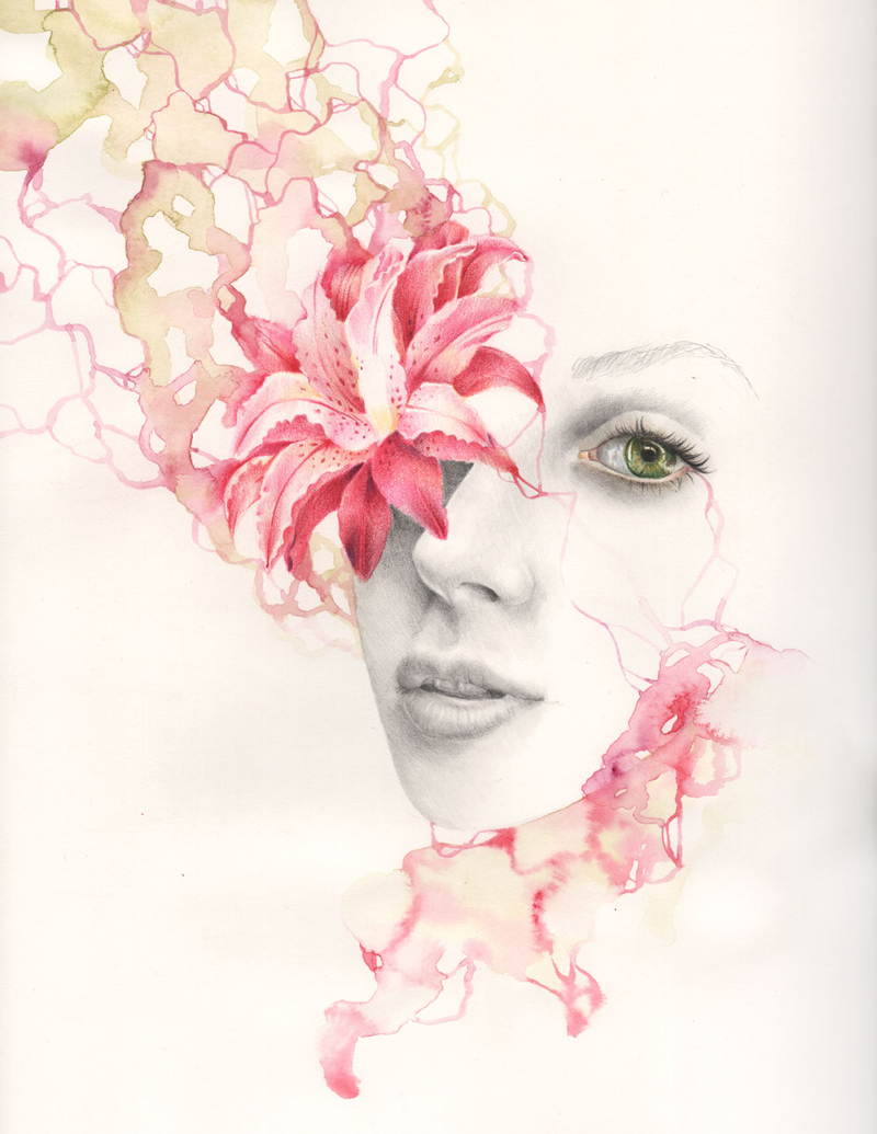 erica calardo illustration - in bloom