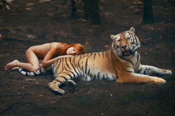 Katerina Plotnikova Photography Tiger