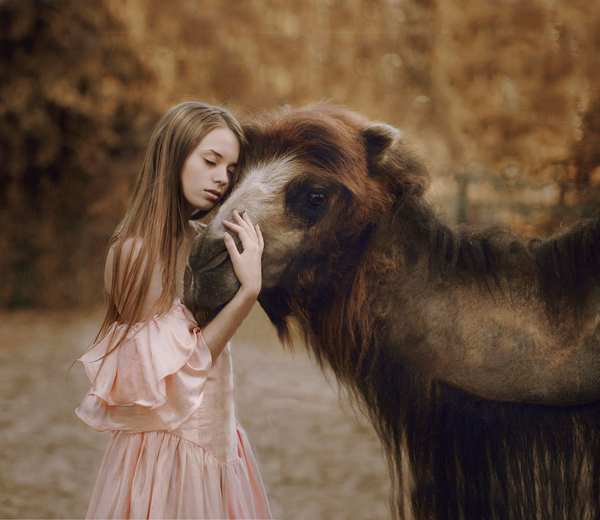 Katerina Plotnikova Photography Camel
