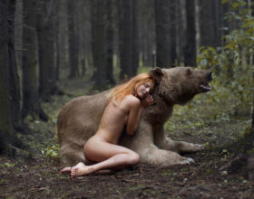 Katerina Plotnikova Photography Bear