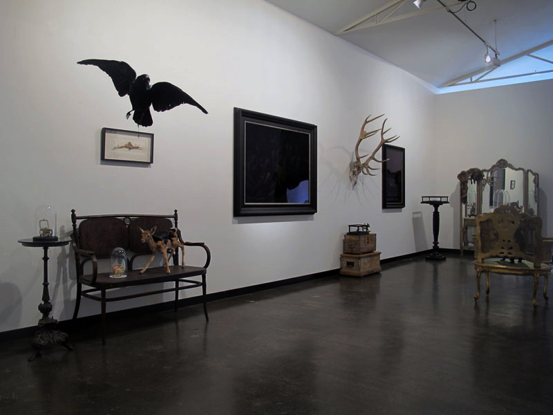 Julia deVille - Phantasmagoria - Taxidermy Art Exhibition at Sophie Gannon Gallery in Melbourne, Australia