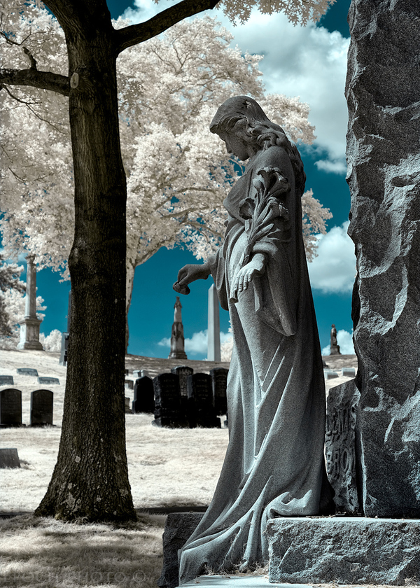 bob vishnesky, cemetery photography, photogasm