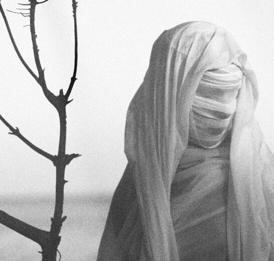Beautiful Bizarre: Matthias Lueger
