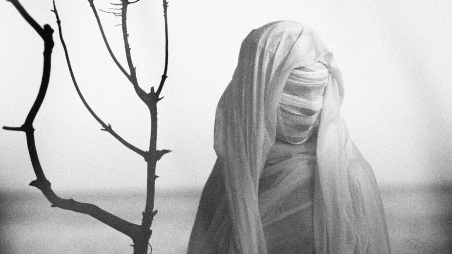 Beautiful Bizarre: Matthias Lueger