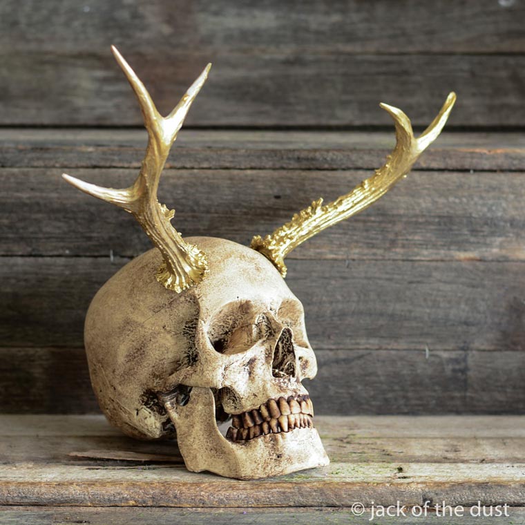 Bringing Death to Life: Skullptures with Jack of the Dust