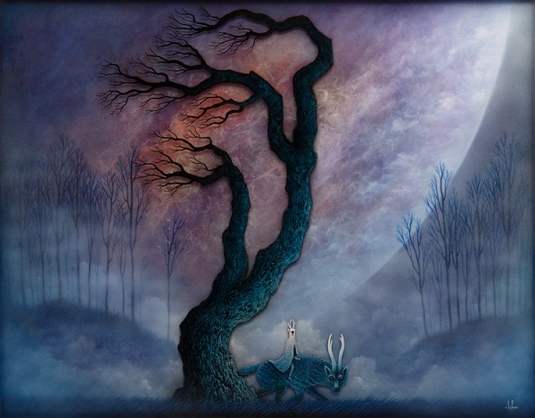 andy kehoe