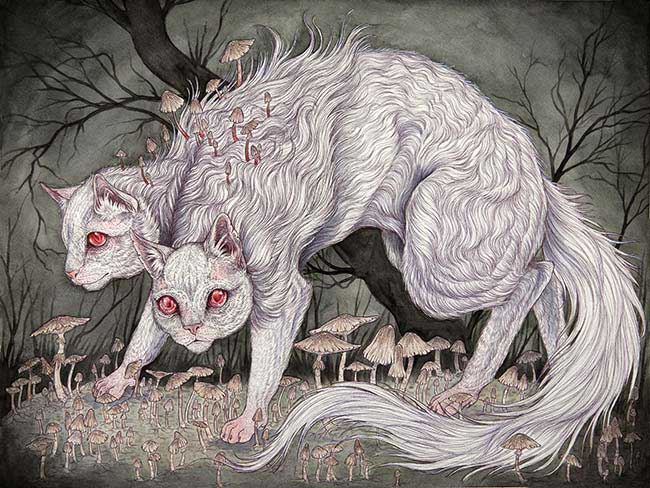 Beautiful Bizarre: Caitlin Hackett