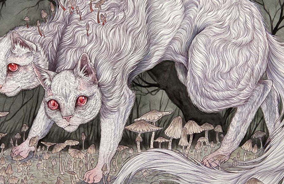 Beautiful Bizarre: Caitlin Hackett