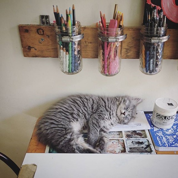Amy Sol cat sleeping in studio 