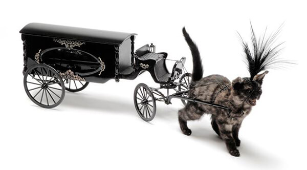 Julia deVille surreal cat carriage taxidermy 