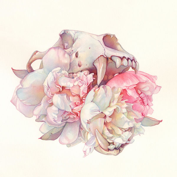 Tracy Lewis Full Bloom surreal watercolor skull painting 
