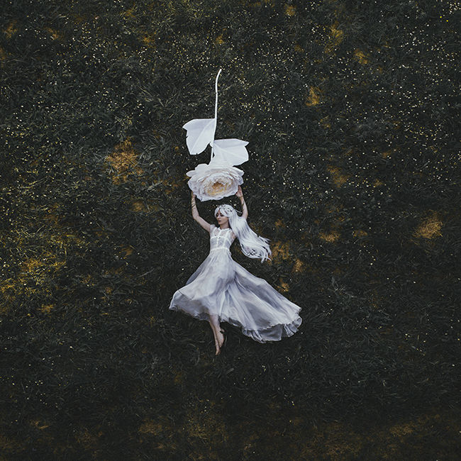 Jovana Rikalo white rose photography