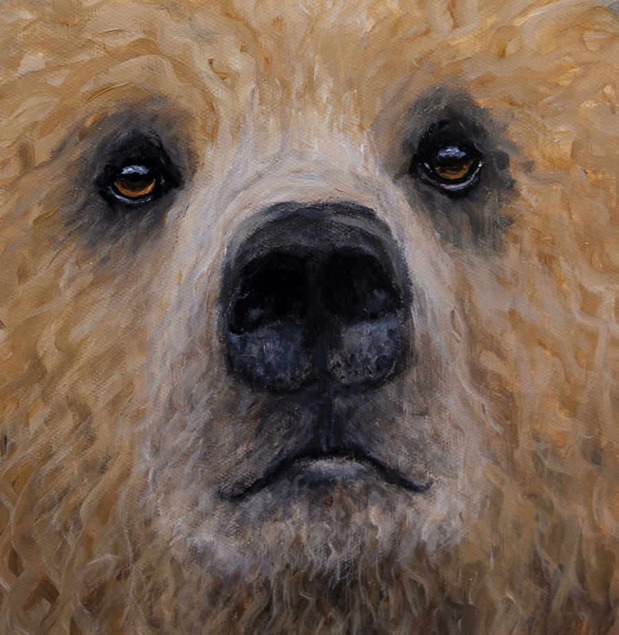 bear painting