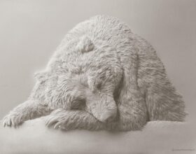 calvin nicholls_paper sculptor of bear