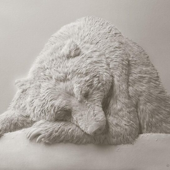 calvin nicholls_paper sculptor of bear