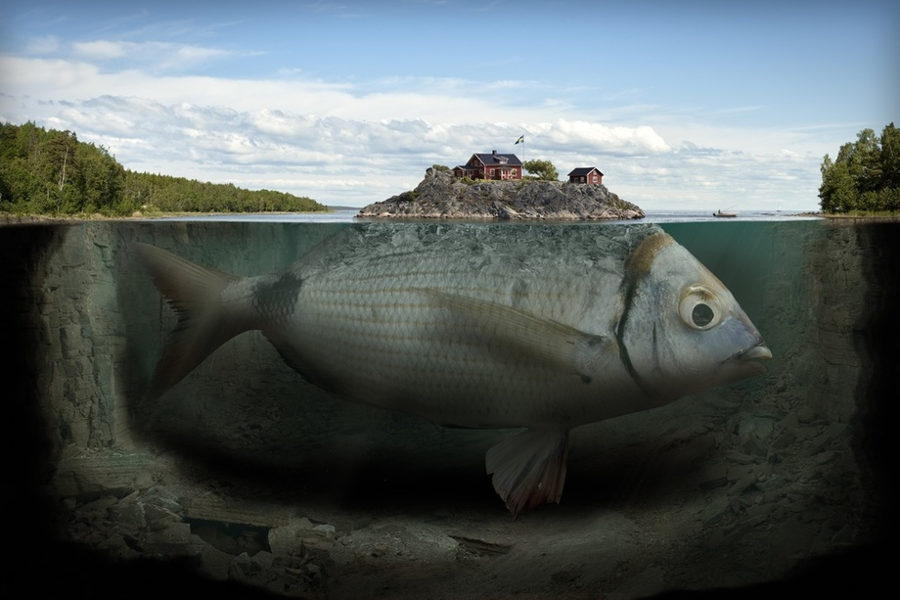 Erik Johansson surreal fish INPRNT