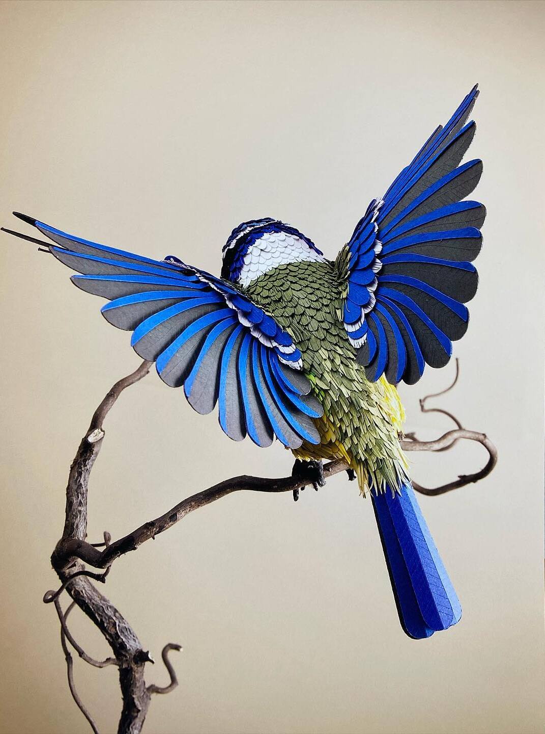 Lisa-Lloyd-paper-sculpture