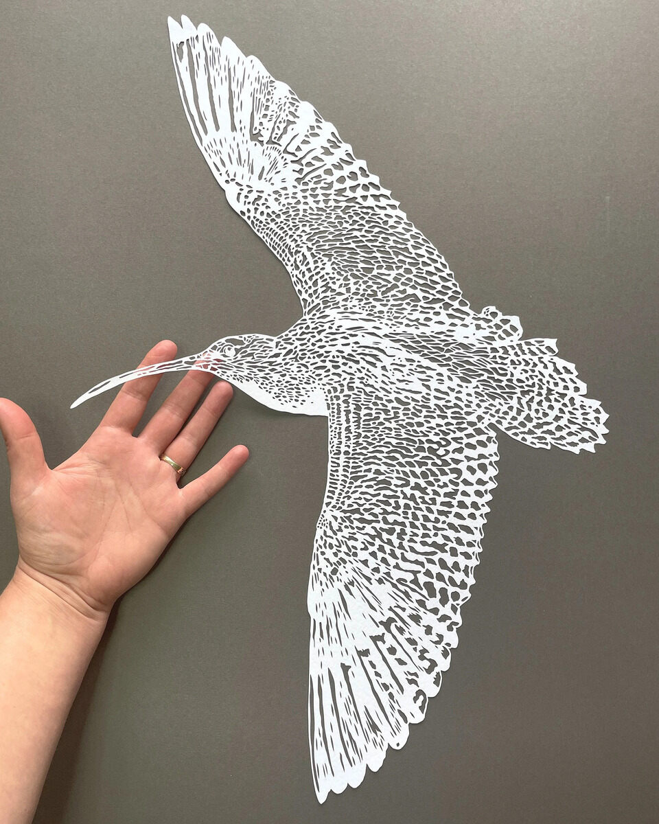 Stevi-Fiona-Benson-Paper-sculpture