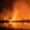 australian bush fires