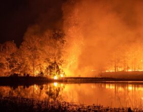 australian bush fires