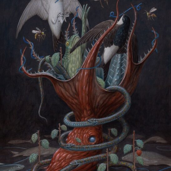 Nick Sheehy Botanical Wildlife Illustration