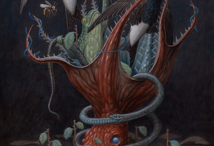 Nick Sheehy Botanical Wildlife Illustration