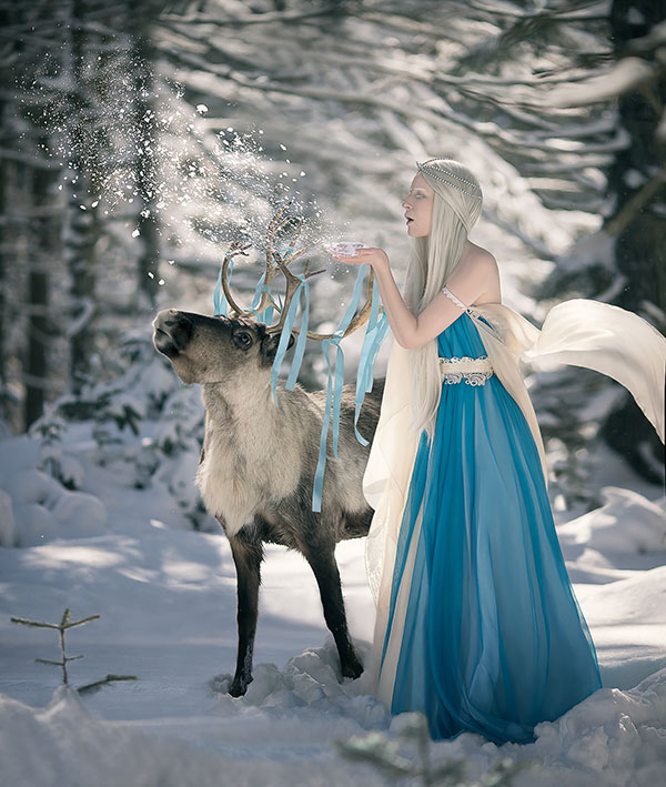 Kseniia-Lygina-reindeer-photography