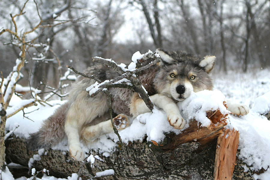Katerina Makogon-wolf-sculpture-snow-winter  Beautiful Bizarre Art Prize