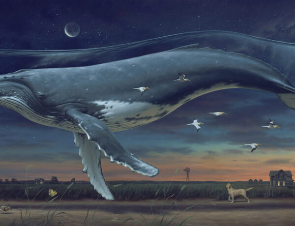 Phillip-A-Singer-whale-painting-field-flying