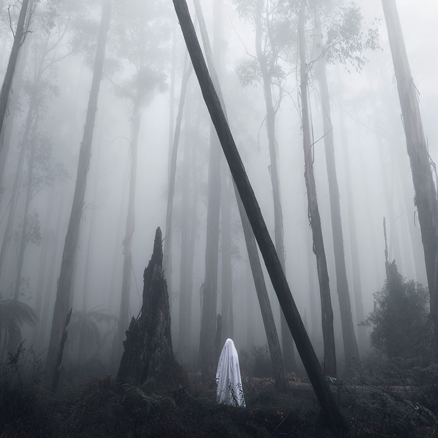 Nathan Milner ghost sheet in woods