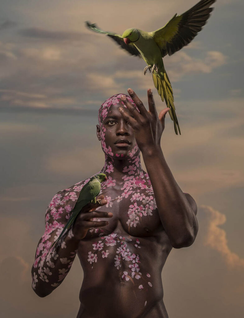 Josh Brandao man and parrots beautiful bizarre