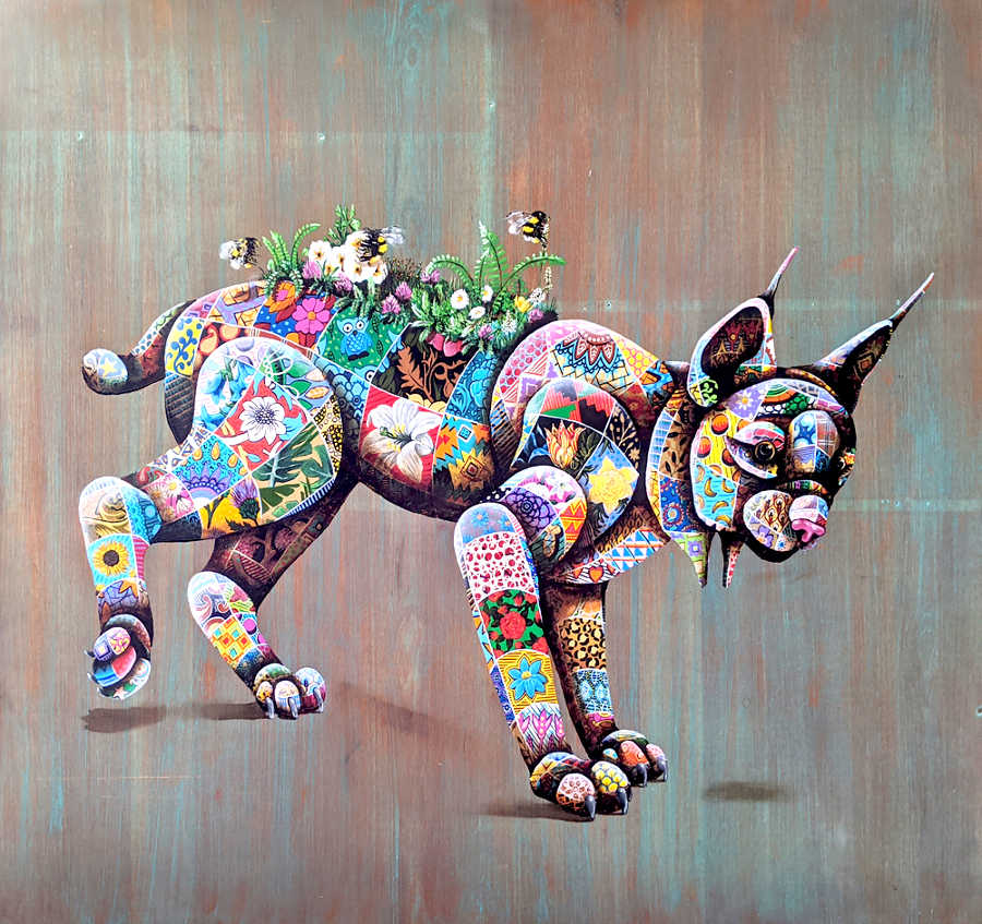 Louis Masai cat animal 
Beautiful Bizarre 