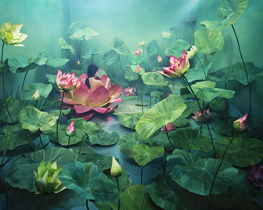 Jeeyoung Lee lily pads photography beautiful bizarre