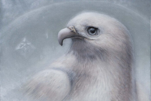 Ricky Schaede white bird