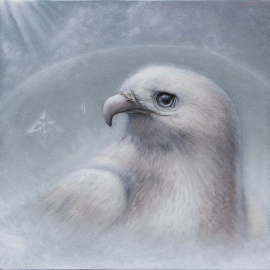 Ricky Schaede white bird