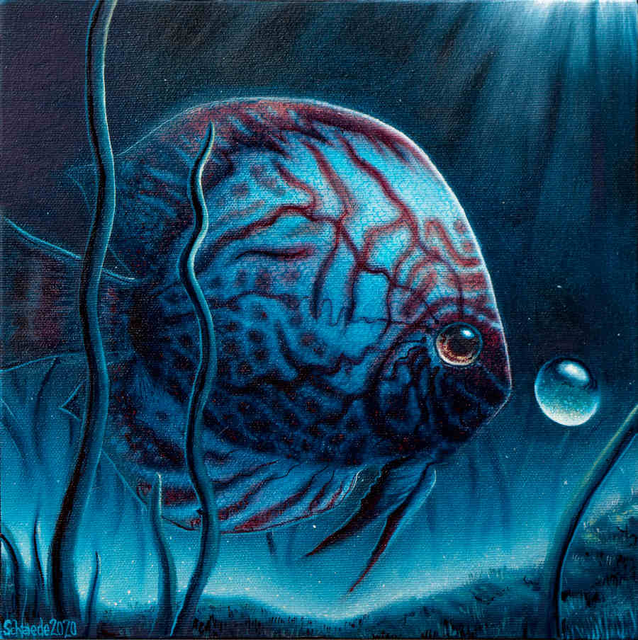 Ricky Schaede lumino blue fish