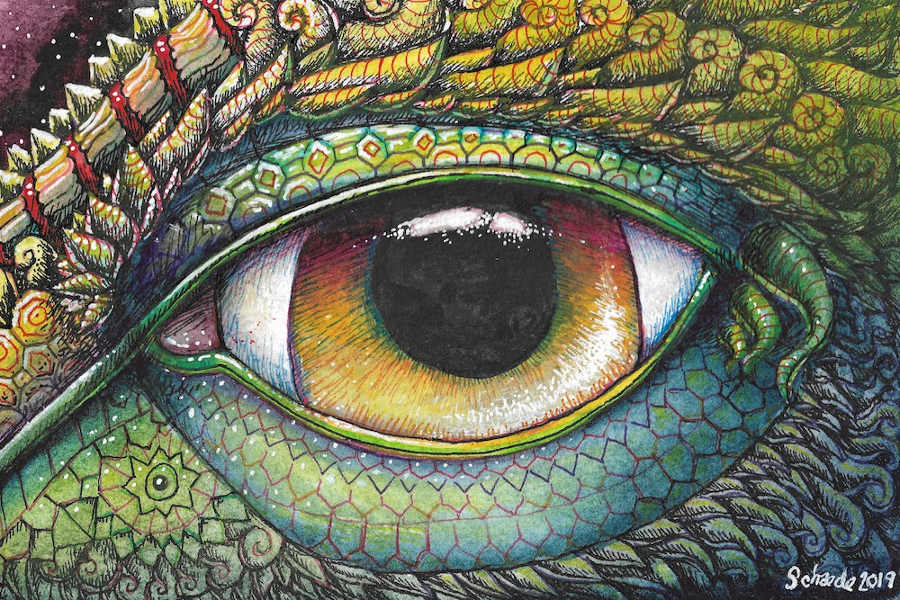 Ricky Schaede dragon eye