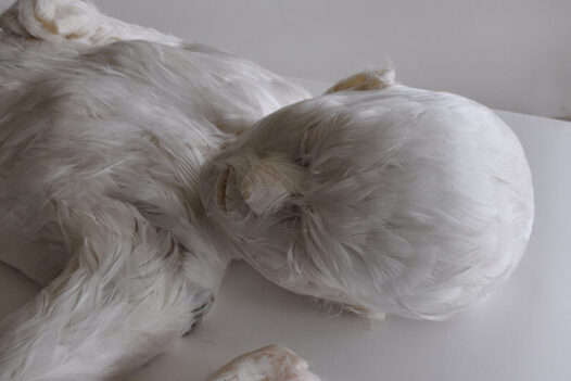 lucy glendinning - feather child sculpture
