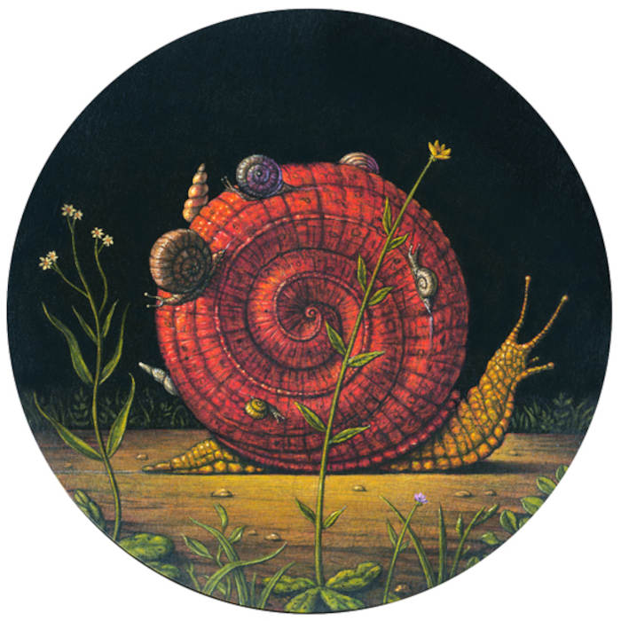Marc Burckhardt snail