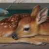 phillip-singer-fawn