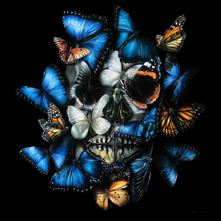 Clare Toms butterfly face skull