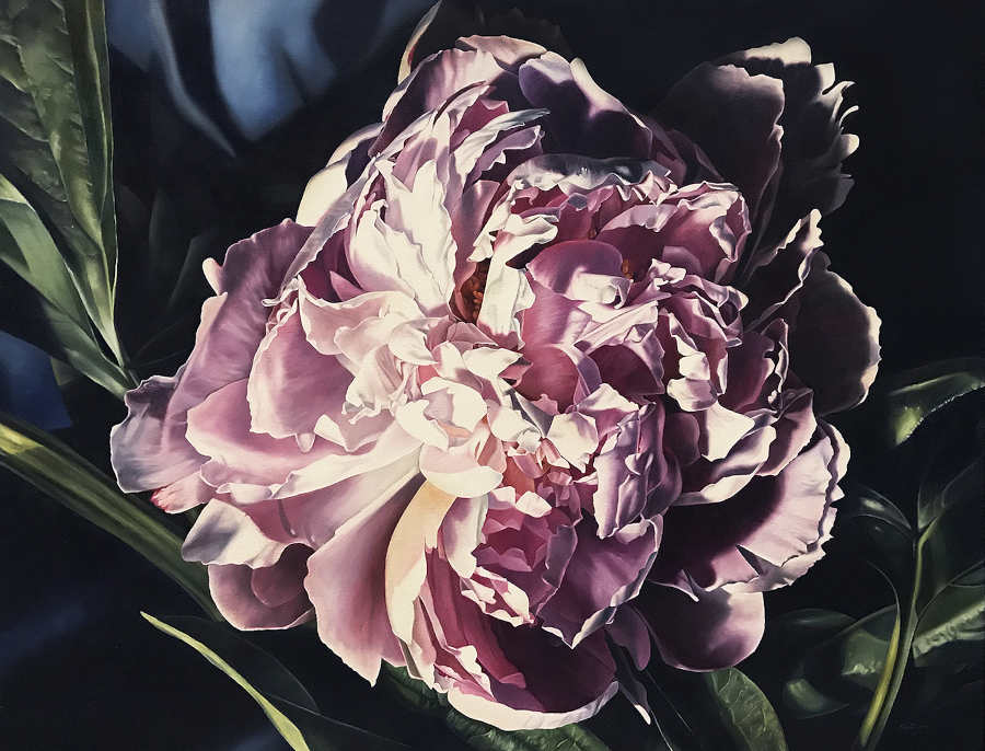 Clare Toms floral painting fine art
