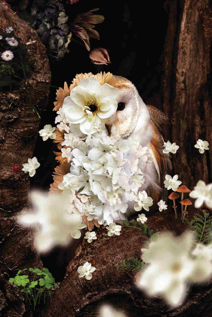 Karen Cantuq owl flowers iCanvas