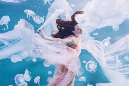 Hobopeeba underwater jellyfish photography