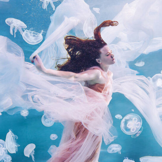 Hobopeeba underwater jellyfish photography