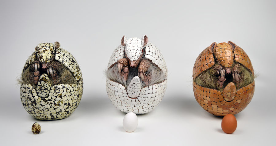 Sarah Lee three armadillos sculpture