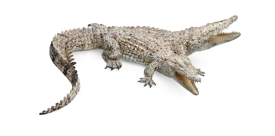 Sarah Lee two headed crocodile sculpture